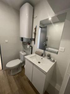 a white bathroom with a toilet and a sink at Studio cosy rue Alexander Taylor, Wifi, 2 pers in Pau