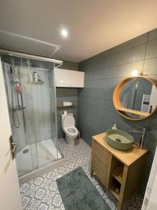 uma casa de banho com um chuveiro, um lavatório e um WC. em Appartement cozy à 100m de la gare Saint Jean em Bordeaux