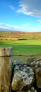 a barbed wire fence with a green field in the background at Serendipity cottage in Castleton