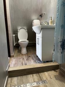 a bathroom with a toilet and a sink at Căsuța - La Țanc in Martinie