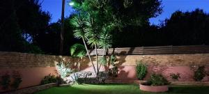 a garden at night with a fence and palm trees at Villa Magic Perla in Gouvia