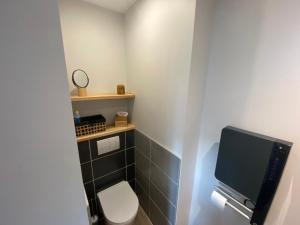 克莱蒙费朗Appart T2 avec parking, loggia, vue Puy de Dôme的一间带卫生间的小浴室和一台电视