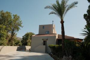 a building with a palm tree in front of it at GREEN ESTATE villas in Arménoi