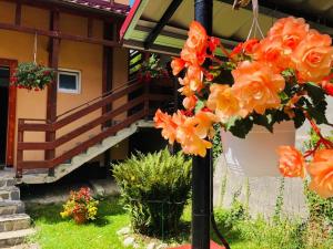 une maison avec des fleurs orange sur un poteau dans l'établissement CASA de VIS, à Sinaia