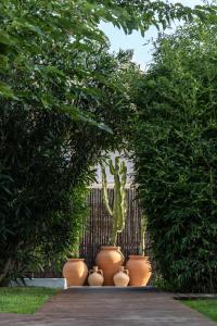 un groupe de pots avec un cactus dans un jardin dans l'établissement Boho Suites Denia, à Dénia