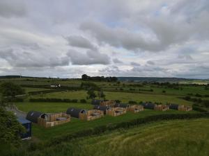 a group of hay bales in a field at Timber Valley Pods in Galston