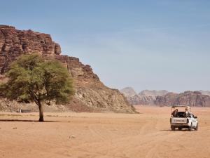 a white truck driving through the desert with a tree at Wadi Rum Desert Heart Camp in Wadi Rum