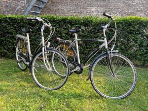 zwei Fahrräder, die nebeneinander im Gras geparkt sind in der Unterkunft B&B Sjaanderhof in Maastricht