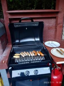 a grill with a bunch of food cooking on it at Ubytování Riegel in Svoboda nad Úpou