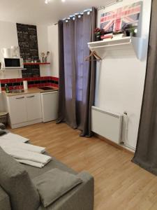 a living room with a couch and a kitchen at Studio Rue de la Santé in Paris