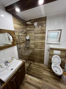 ein Bad mit einer Dusche, einem WC und einem Waschbecken in der Unterkunft Villa Dalia in Sarajevo