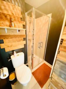 a bathroom with a white toilet and a shower at LAKAZ CREOLE - Caen Centre in Caen