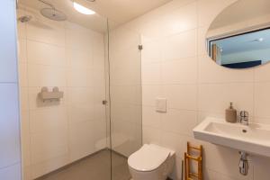 a bathroom with a shower and a toilet and a sink at VlieMare Appartementen De Kluut in Oost-Vlieland