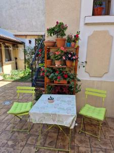 Patio nebo venkovní prostory v ubytování Casa Matilda