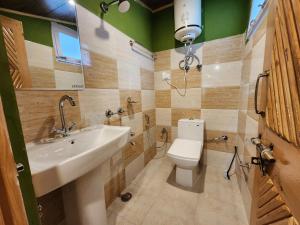 ein Bad mit einem Waschbecken und einem WC in der Unterkunft Timberwolves in Manali