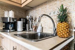 Kuchyň nebo kuchyňský kout v ubytování Georgia Apartment