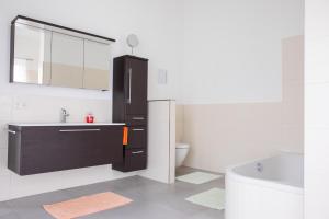 a bathroom with a sink and a toilet and a mirror at Feine Auszeit in Gottmadingen