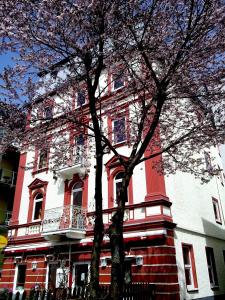 een rood-wit gebouw met een boom ervoor bij Hotel Traube in Zell am See