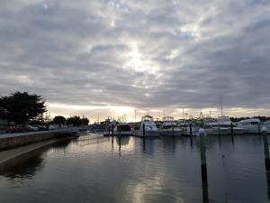 a group of boats docked in a harbor at Bamboo Motor Inn in Lakes Entrance +15 photos