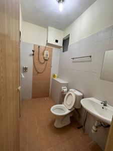 ein Bad mit einem WC und einem Waschbecken in der Unterkunft Terbilang Homestay in Butterworth