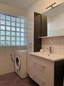 ein Badezimmer mit einer Waschmaschine und einem Waschbecken in der Unterkunft Apartma Logar in Kobarid