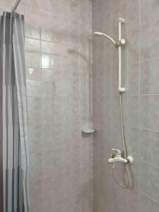 a bathroom with a shower with a shower curtain at Mira Home in Veliko Tŭrnovo