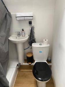 een kleine badkamer met een toilet en een wastafel bij Studio climatisé in La Chapelle-Saint-Mesmin