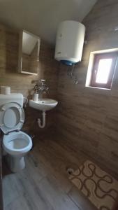a bathroom with a toilet and a sink and a window at Domaćinstvo Peković in Danilovgrad