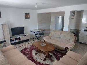 ein Wohnzimmer mit 2 Sofas und einem Couchtisch in der Unterkunft Apartments Pekic in Vranjina