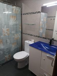 a bathroom with a toilet and a shower and a sink at Habitación3 Villena lavanda in Villena