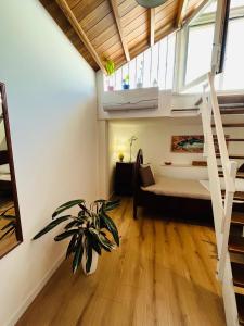 Habitación con cama y maceta en Casa vacanze Santa Marta, en Barletta