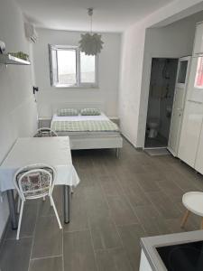 een slaapkamer met een bed en een tafel en een badkamer bij Vila Anda in Promajna