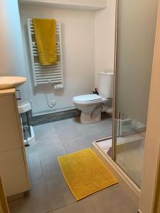 uma casa de banho com um WC e uma toalha amarela em Le Parmentier em Châlons-en-Champagne