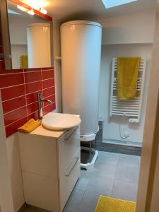 uma casa de banho com um lavatório branco e um chuveiro em Le Parmentier em Châlons-en-Champagne