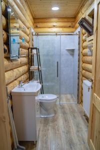y baño con aseo, lavabo y ducha. en Eco House Borjomi en Borjomi