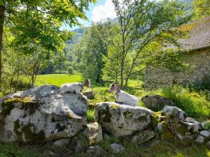 Landskap semula jadi dekat dengan rumah percutian +2 gambar