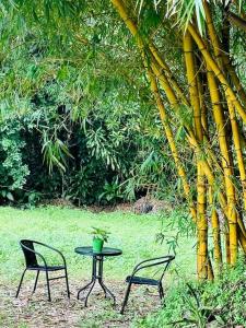 two chairs and a table with a plant on it at Bamboo Cabin in Kuranda