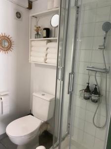 a bathroom with a toilet and a shower with towels at La Carretariá - Intra•muros - Wifi in Avignon