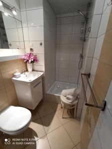 Kúpeľňa v ubytovaní Apartamenty i Pokoje u Doroty