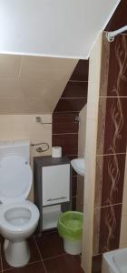 a small bathroom with a toilet and a sink at CASA ICA in Baile Felix