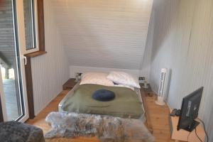 ein kleines Bett in einem kleinen Zimmer mit einem TV in der Unterkunft Domek na Górce - Mazury, Mrągowo in Borowe