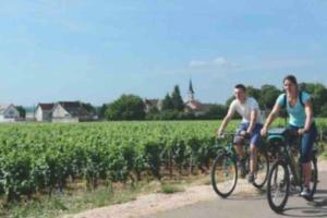 un uomo e una donna in bicicletta davanti a un campo di Maisonnette à la campagne rivière SPA et détente a Saint-Seriès