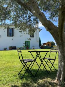 een picknicktafel en twee stoelen onder een boom bij Bed and Breakfast Country Cottage in Civitavecchia