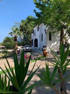 un edificio blanco con árboles y plantas delante de él en FONDAZIONE VILLA POINT ONLUS, en San Felice Circeo