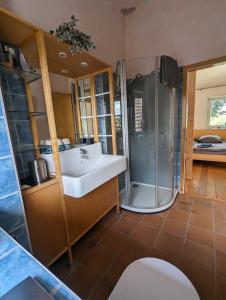 a bathroom with a sink and a shower at "Buena Vista" Ashausen/Hamburg in Stelle