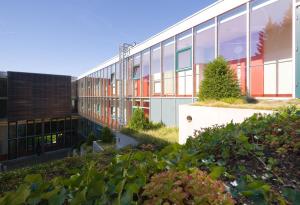 Zahrada ubytování Collegium Glashütten