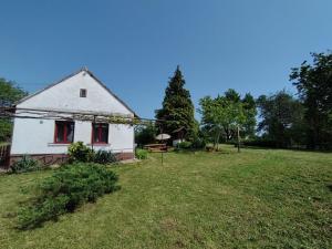 una vieja casa blanca en un campo de hierba en Zsuzsanna Ház, 