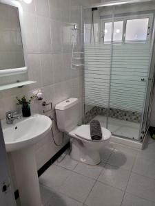 Valles de OrtegaにあるApartamento Arribaのバスルーム(トイレ、洗面台、シャワー付)