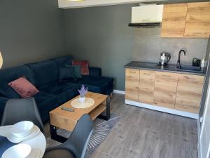 Kuchyň nebo kuchyňský kout v ubytování Pokoje I Apartamenty Polna 19