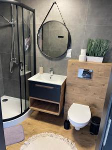 Koupelna v ubytování Pokoje I Apartamenty Polna 19